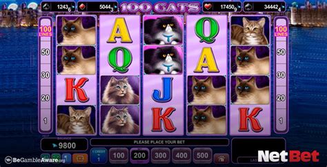 100 Cats Netbet