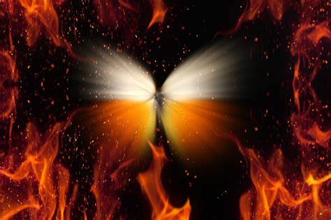 3 Butterflies Blaze