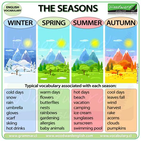 4 Seasons Summer Brabet