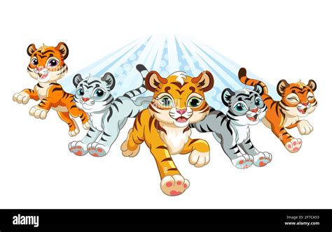 5 Tigers Brabet
