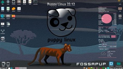 A Pokerstars Puppy Linux