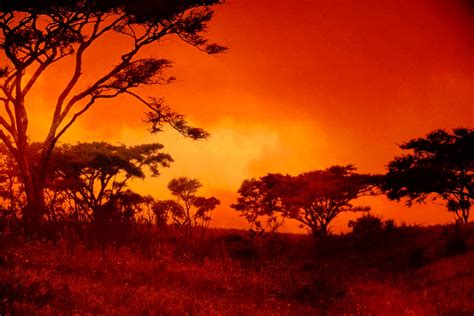 African Sunset 2 Blaze
