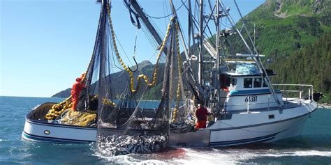 Alasca A Pesca Maquina De Fenda