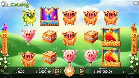 Angry Piggies Slot Gratis