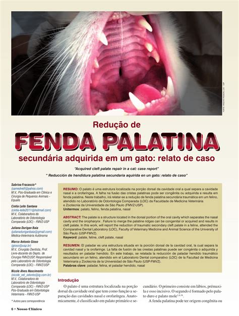 Animais De Maquinas De Fenda