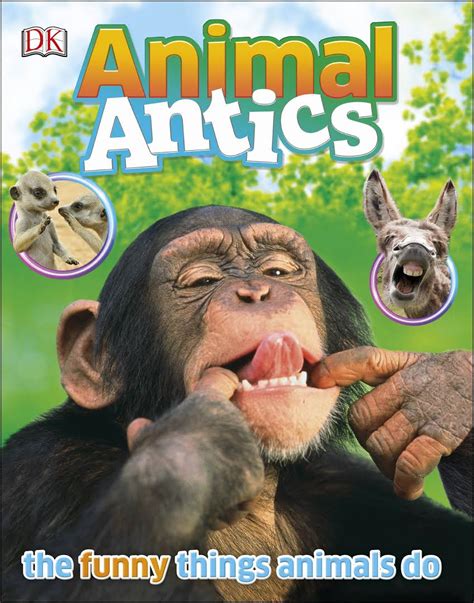 Animal Antics Betsul