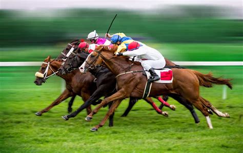 Apostas Em Corridas De Cavalos Canoas