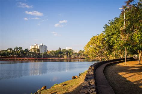 Apostas Em Hoquei Sao Jose Do Rio Preto