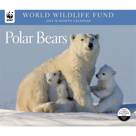 Arctic Bear Review 2024