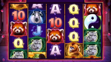 Bamboo Bear 888 Casino