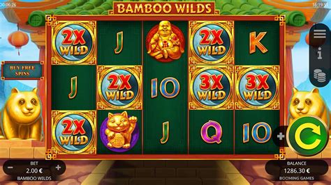 Bamboo Wilds Netbet