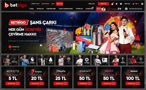 Betbigo Casino Brazil