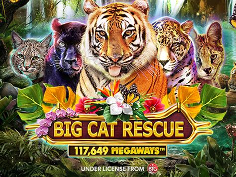 Big Cat Rescue Megaways Netbet
