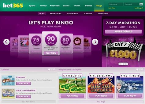 Bingo Empire Bet365