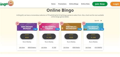 Bingo52 Casino App