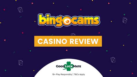 Bingocams Casino Apk