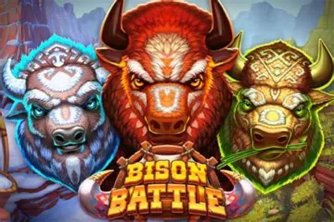 Bison Battle Bodog