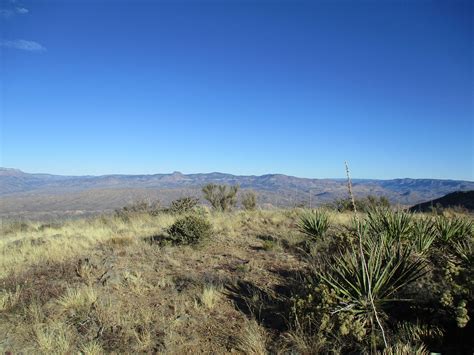 Blackjack Arizona