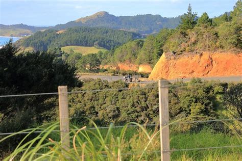 Blackjack Estrada Coromandel