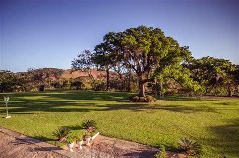 Blackjack Fazenda Vista