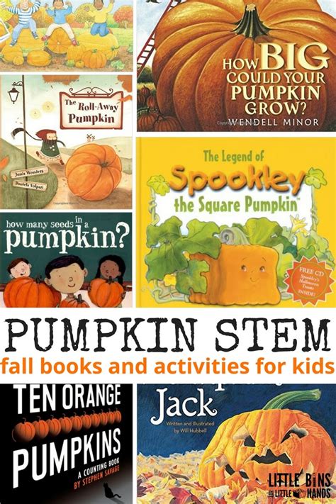 Book Of Pumpkin Bodog