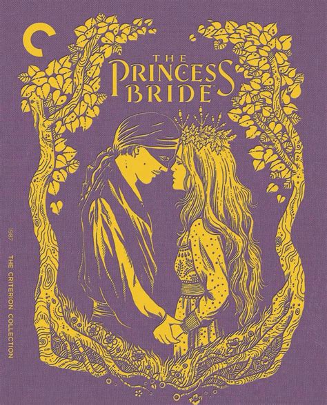 Book Of The Princess Bwin