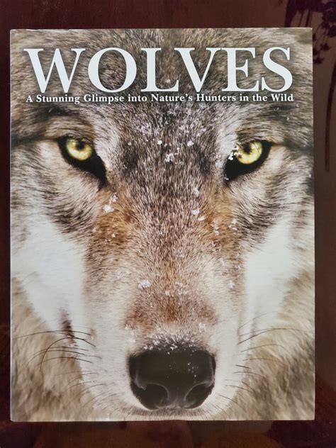 Book Of Wolves Bet365