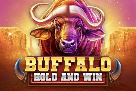 Buffalo Hold And Win Novibet