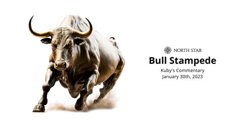 Bull Stampede Brabet