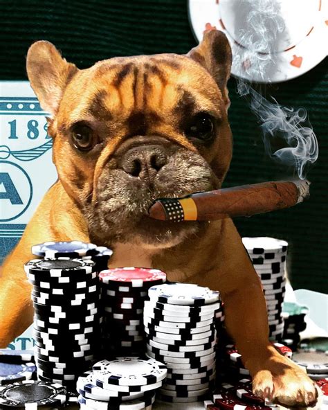 Bulldog Poker Miniclip
