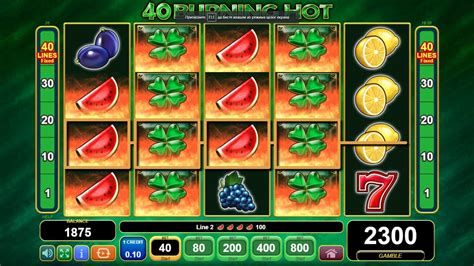 Burning Slots 40 Review 2024