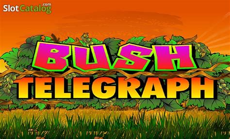 Bush Telegraph Bet365