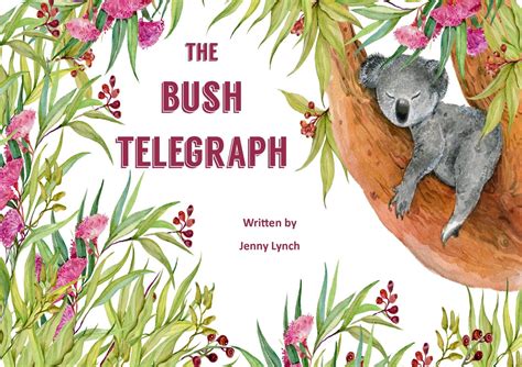 Bush Telegraph Blaze