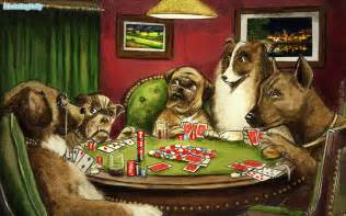 Cachorro Pes De Poker