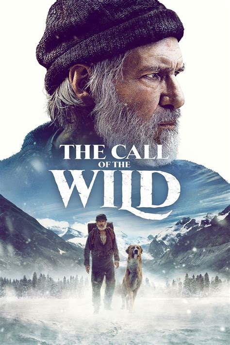 Call Of The Wild 1xbet