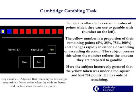 Cambridge Gambling Task Deutsch
