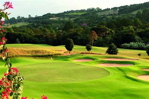 Campo De Golfe A Batata Frita De Cassino