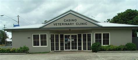 Casino Clinica Vet