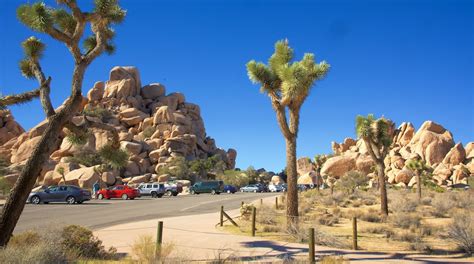 Casino Perto De Parque Nacional Joshua Tree