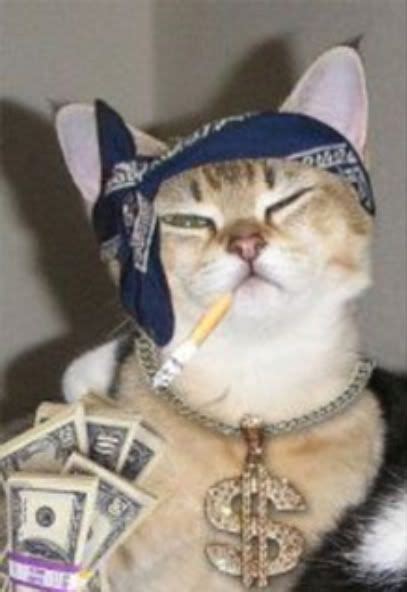 Cat Gangster Leovegas