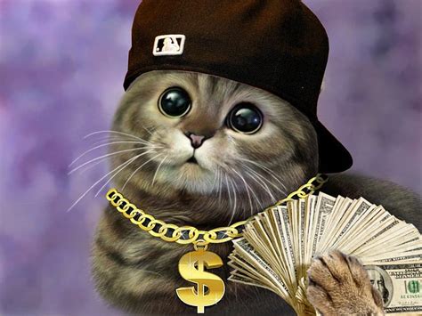 Cat Gangster Netbet