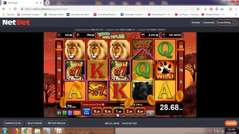 Cat S Fortune Netbet