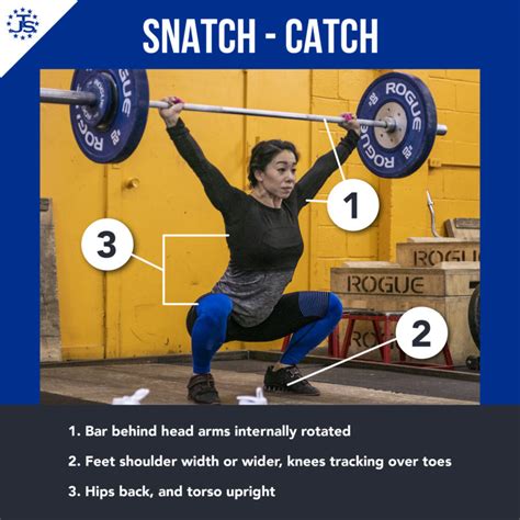 Catch Snatch Bet365