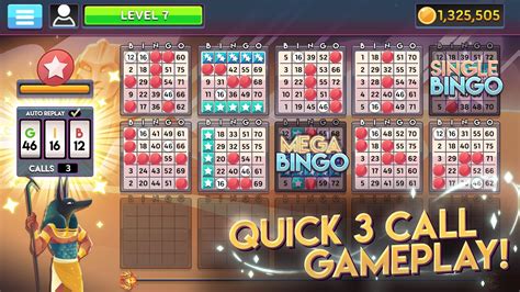 City Bingo Casino Apk