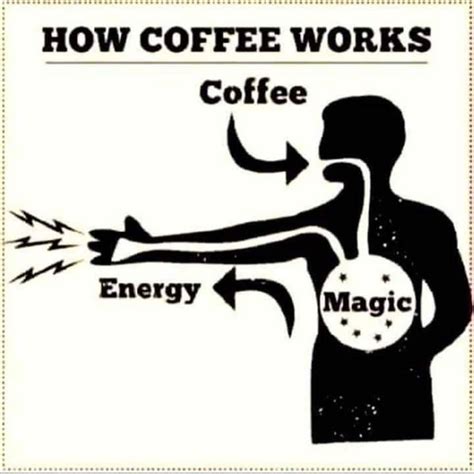 Coffee Magic Bodog