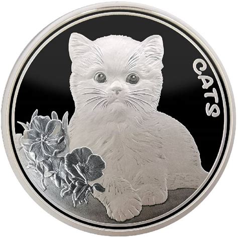 Coin Cat Betsul