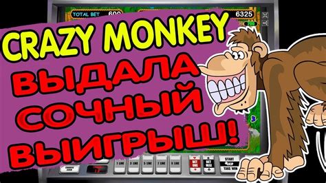 Crazy Monkey Novibet