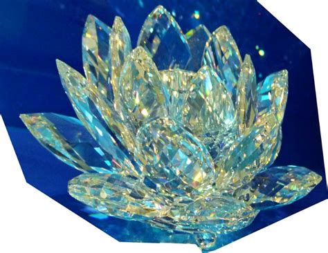 Crystal Lotus Brabet