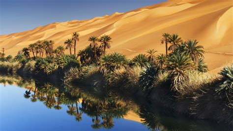 Desert Oasis Bwin