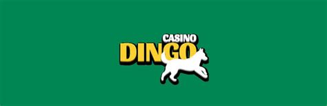 Dingo Casino Nicaragua